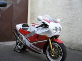 1989 Bimota YB6 EXUP photo